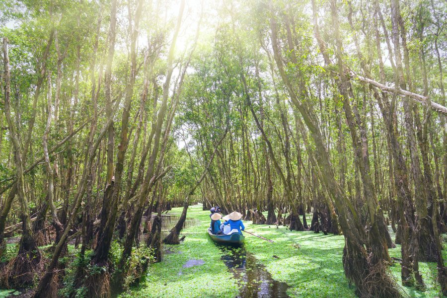 HÀ NỘI – CẦN THƠ – SÓC TRĂNG – BẠC LIÊU – CÀ MAU – ĐẤT MŨI – CHÂU ĐỐC – CẦN THƠ – HÀ NỘI 4N3Đ