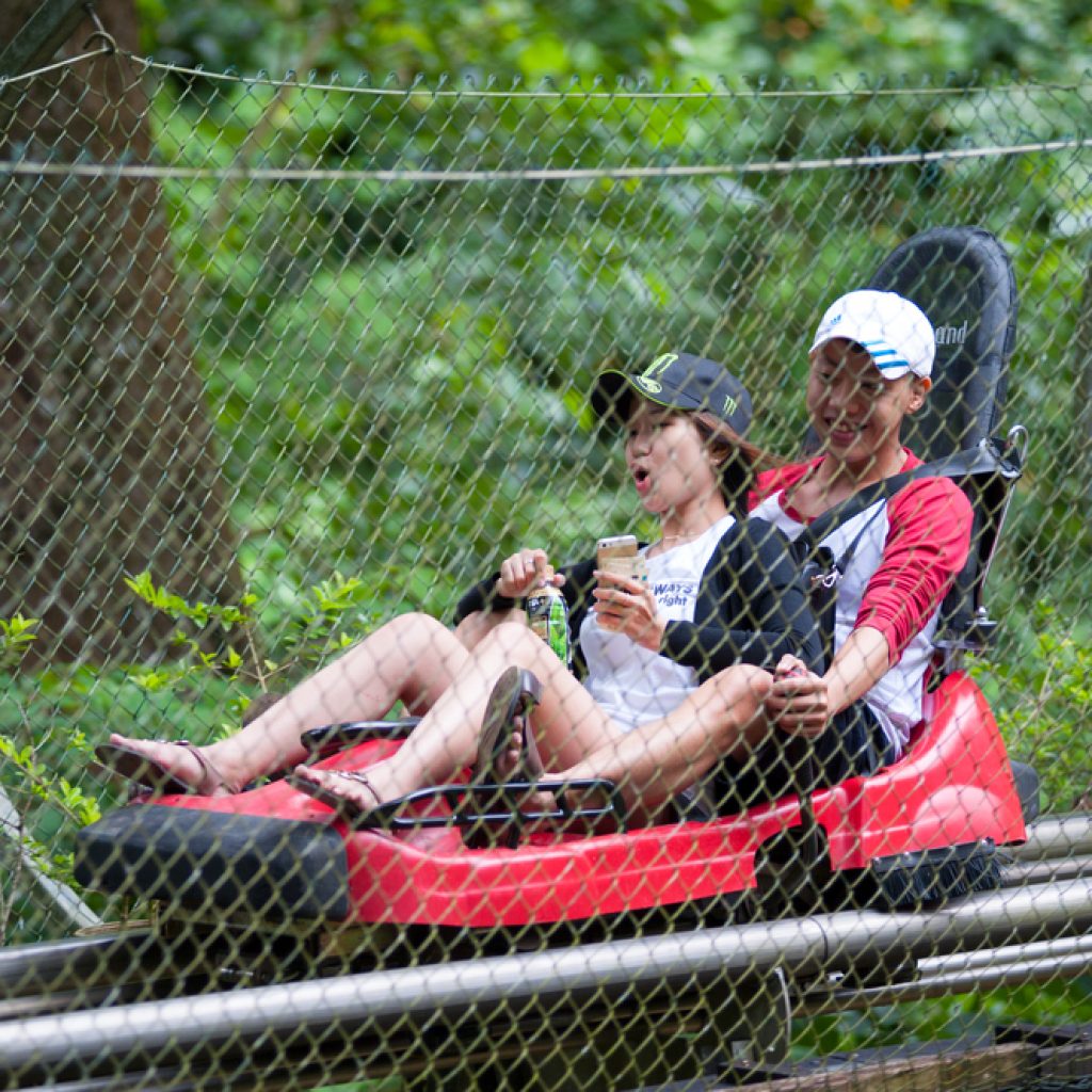 Alpine coaster ở Đà Lạt