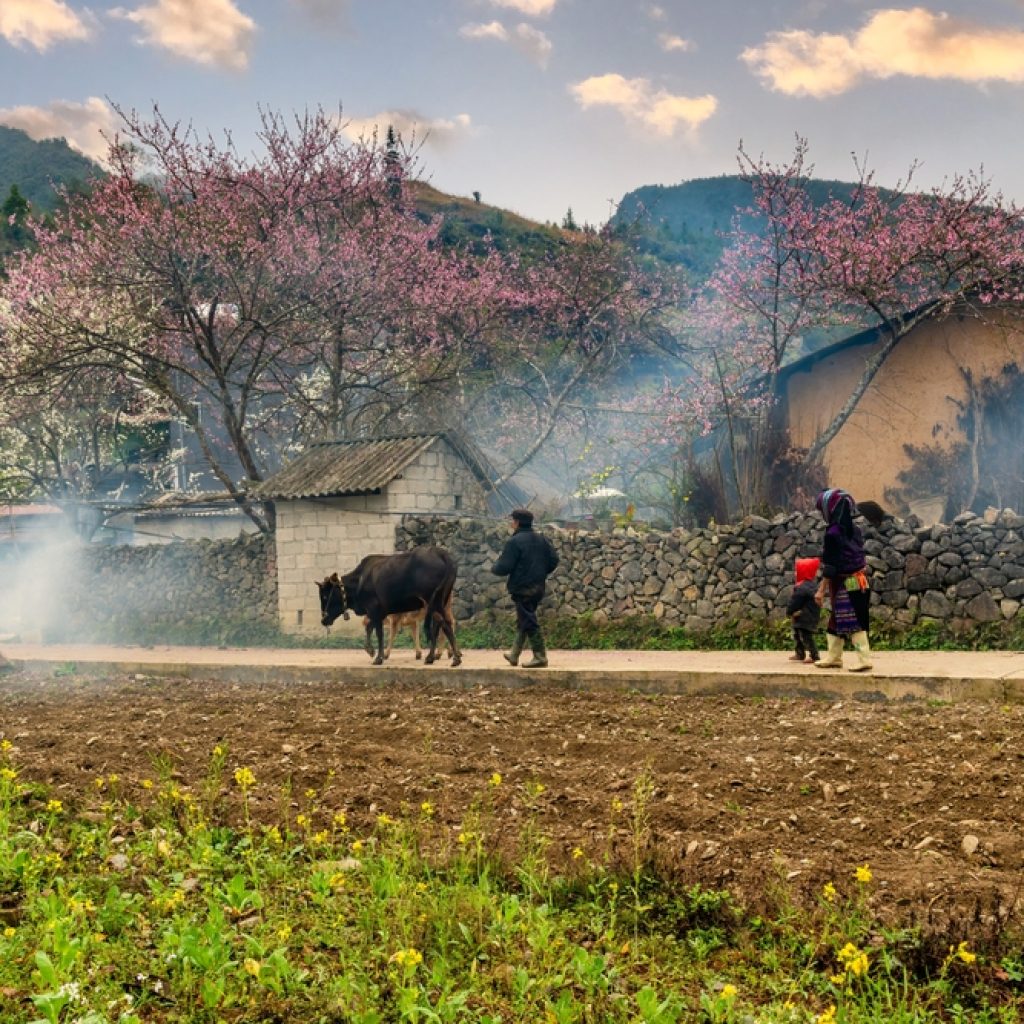 Hà Giang vào mùa xuân