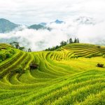 Ruộng bậc thang tại Hà Giang