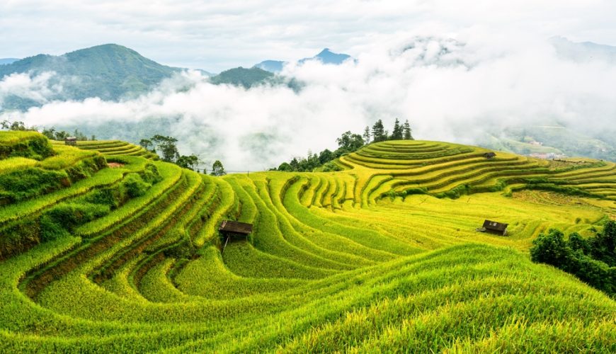 Ruộng bậc thang tại Hà Giang
