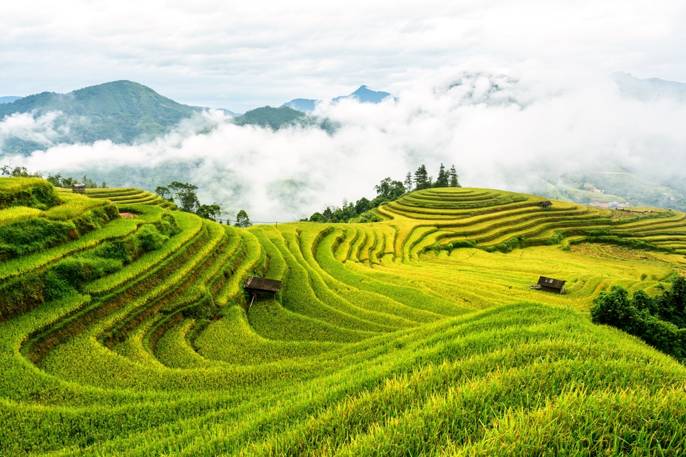 Ruộng bậc thang tại Hà Giang