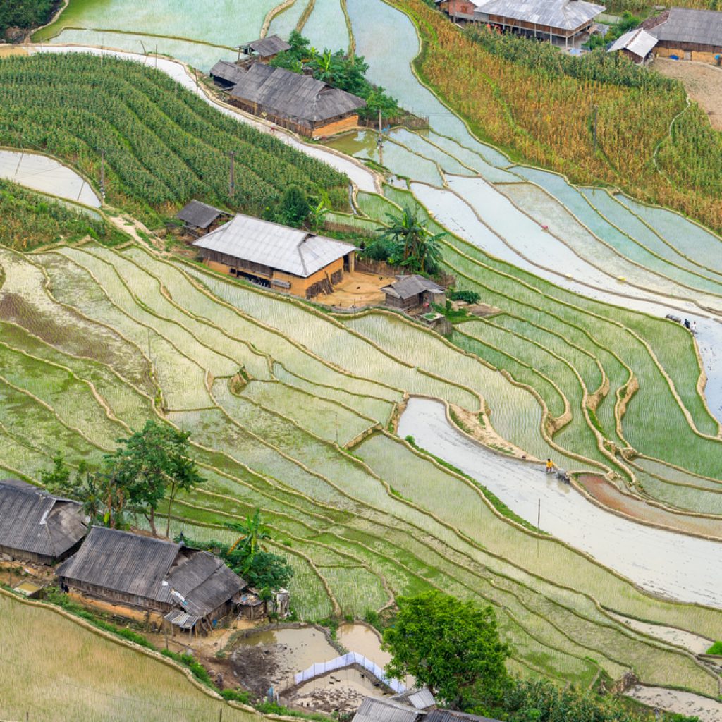 Ruộng bậc thang Hà Giang vào mùa nước đổ