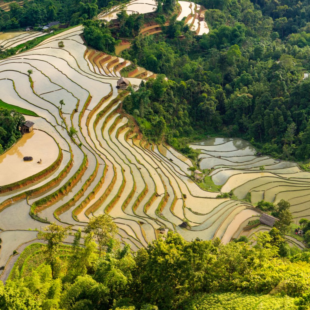 Ruộng bậc thang mùa nước đổ ở Hà Giang