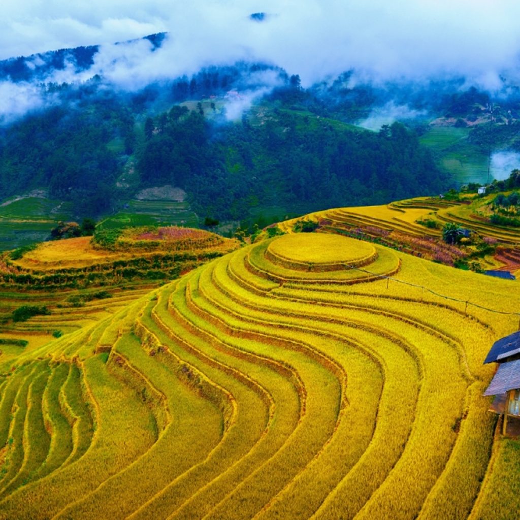 Đồi Mâm Xôi, Mù Cang Chải