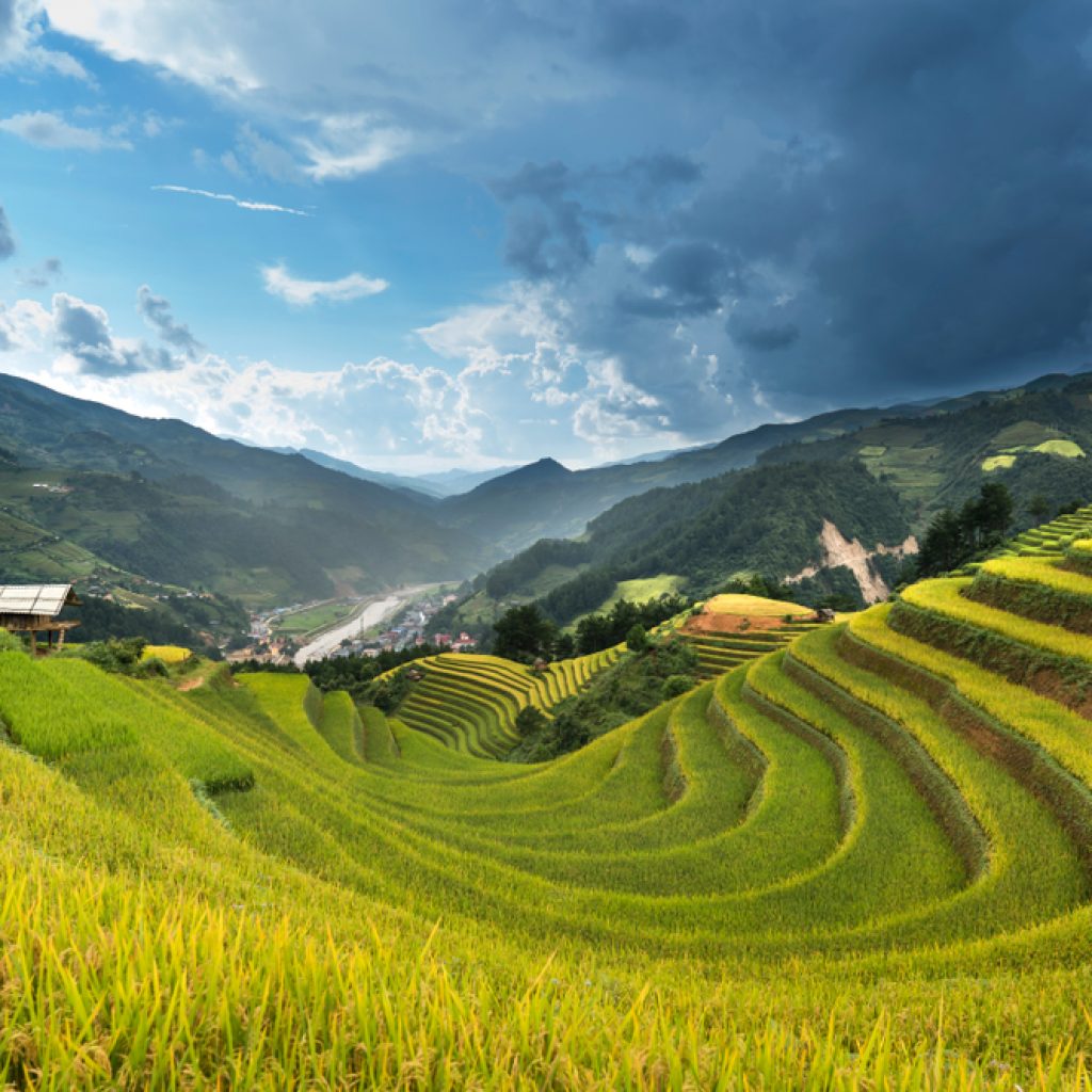 Ruộng bậc thang ở đồi Móng Ngựa, Mù Cang Chải