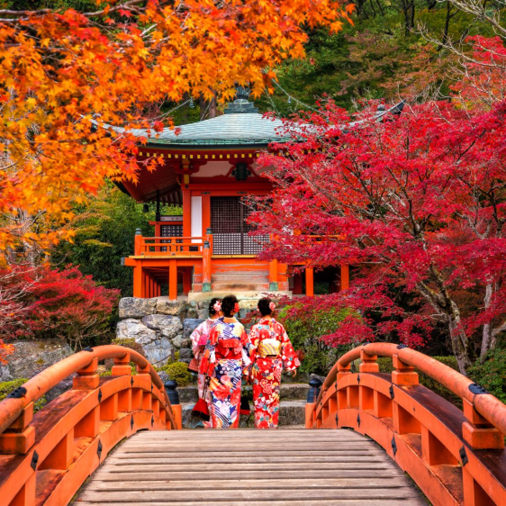 Kyoto được phủ đầy sắc đỏ