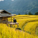 Đi Mù Cang Chải mùa lúa chín: Kinh nghiệm bắt trọn “mùa vàng”