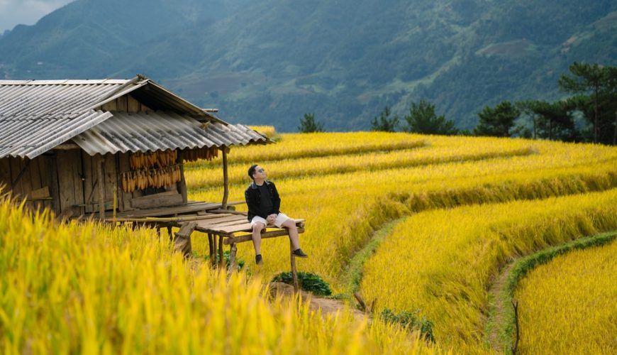 Đi Mù Cang Chải mùa lúa chín: Kinh nghiệm bắt trọn “mùa vàng”