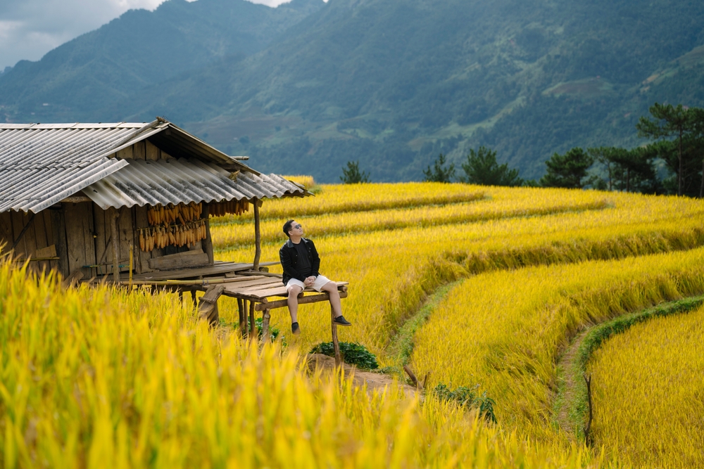 Đi Mù Cang Chải mùa lúa chín: Kinh nghiệm bắt trọn “mùa vàng”