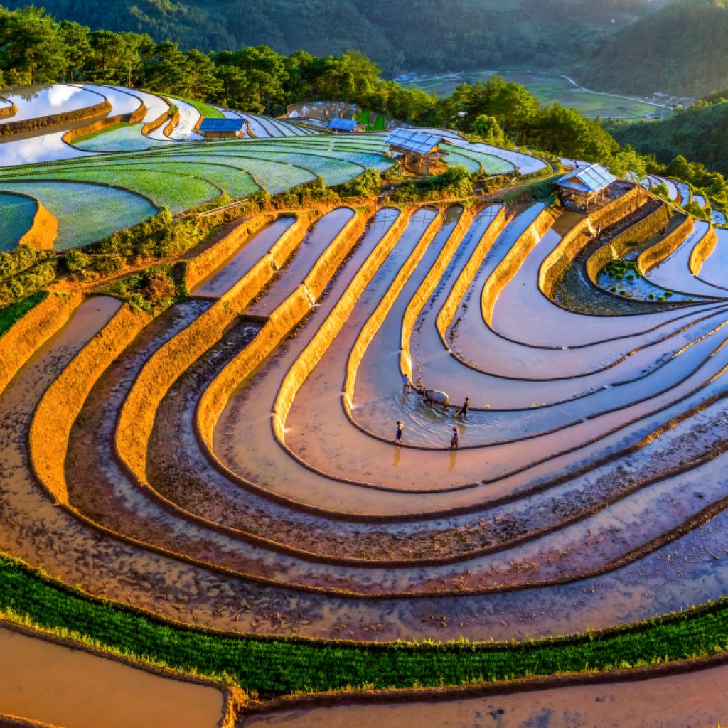 Ruộng bậc thang Mù Cang Chải mùa nước đổ
