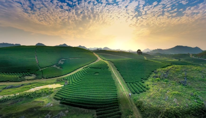 Du lịch Mộc Châu tháng mấy đẹp nhất? Chọn thời điểm theo trải nghiệm