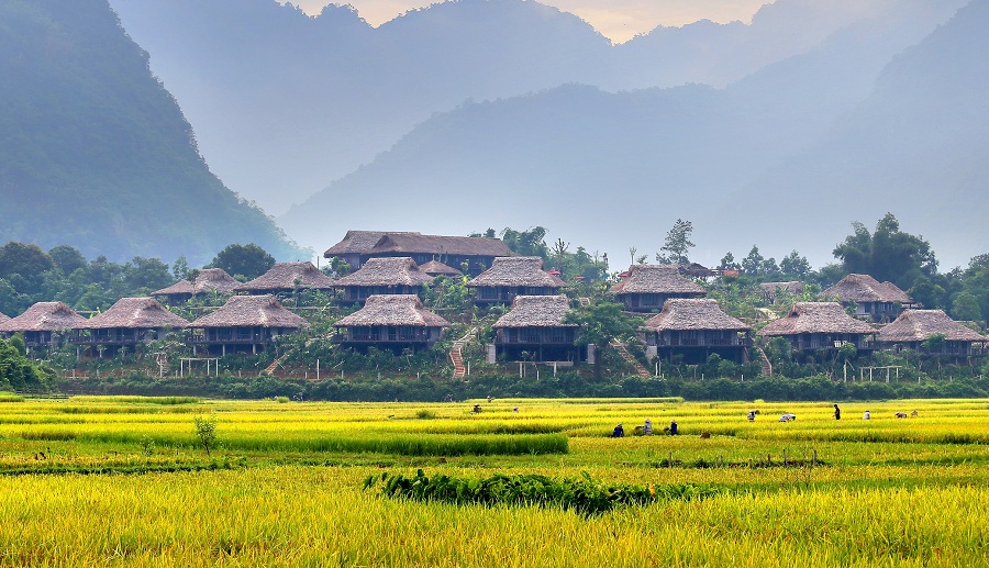 Du lịch Mai Châu mùa nào đẹp nhất?