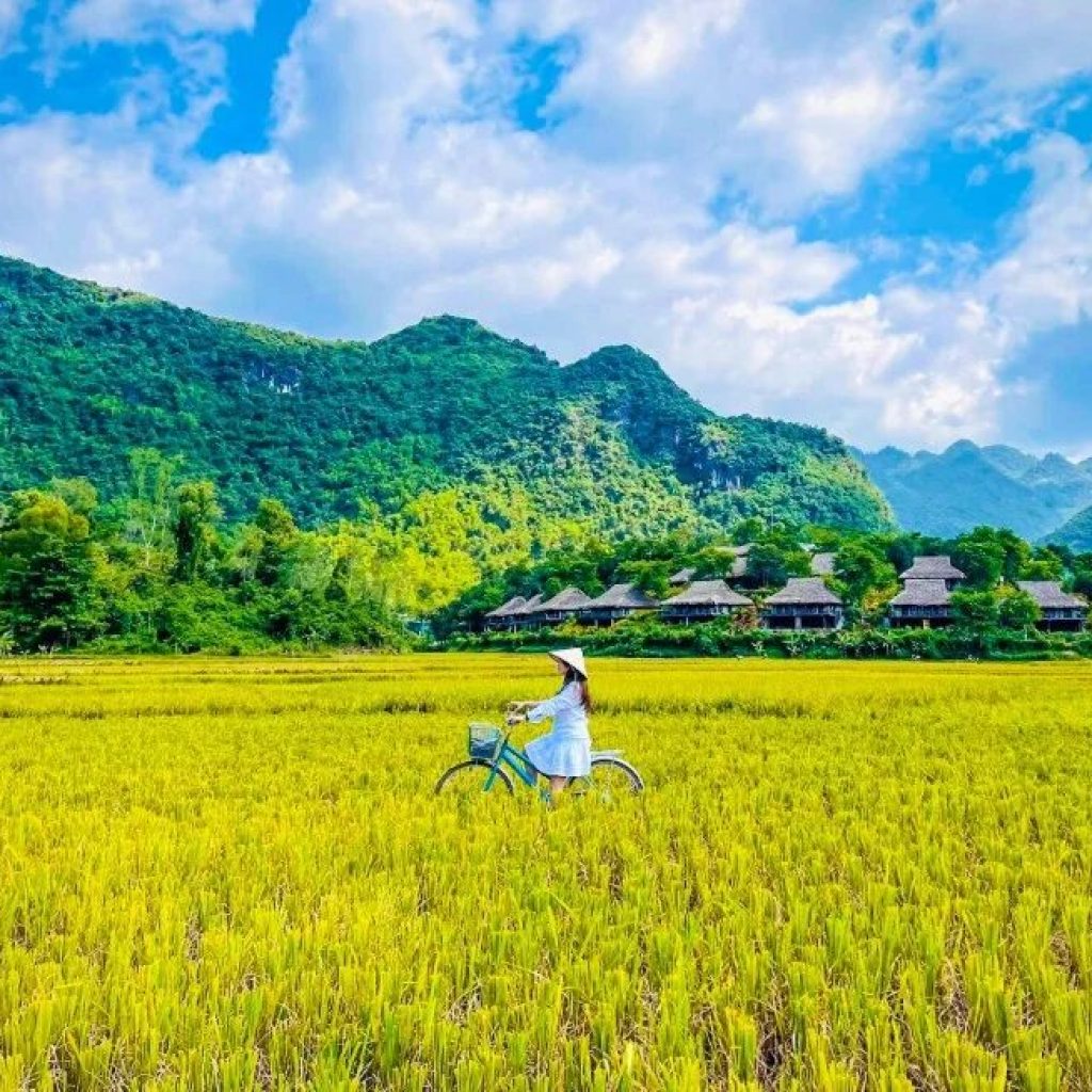 Du khách đạp xe, đi bộ quanh bản